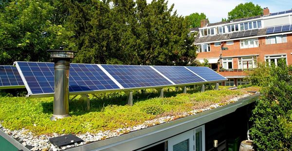 Solar panels on a sedum green rooftop garden on behalf of climate adaptation
