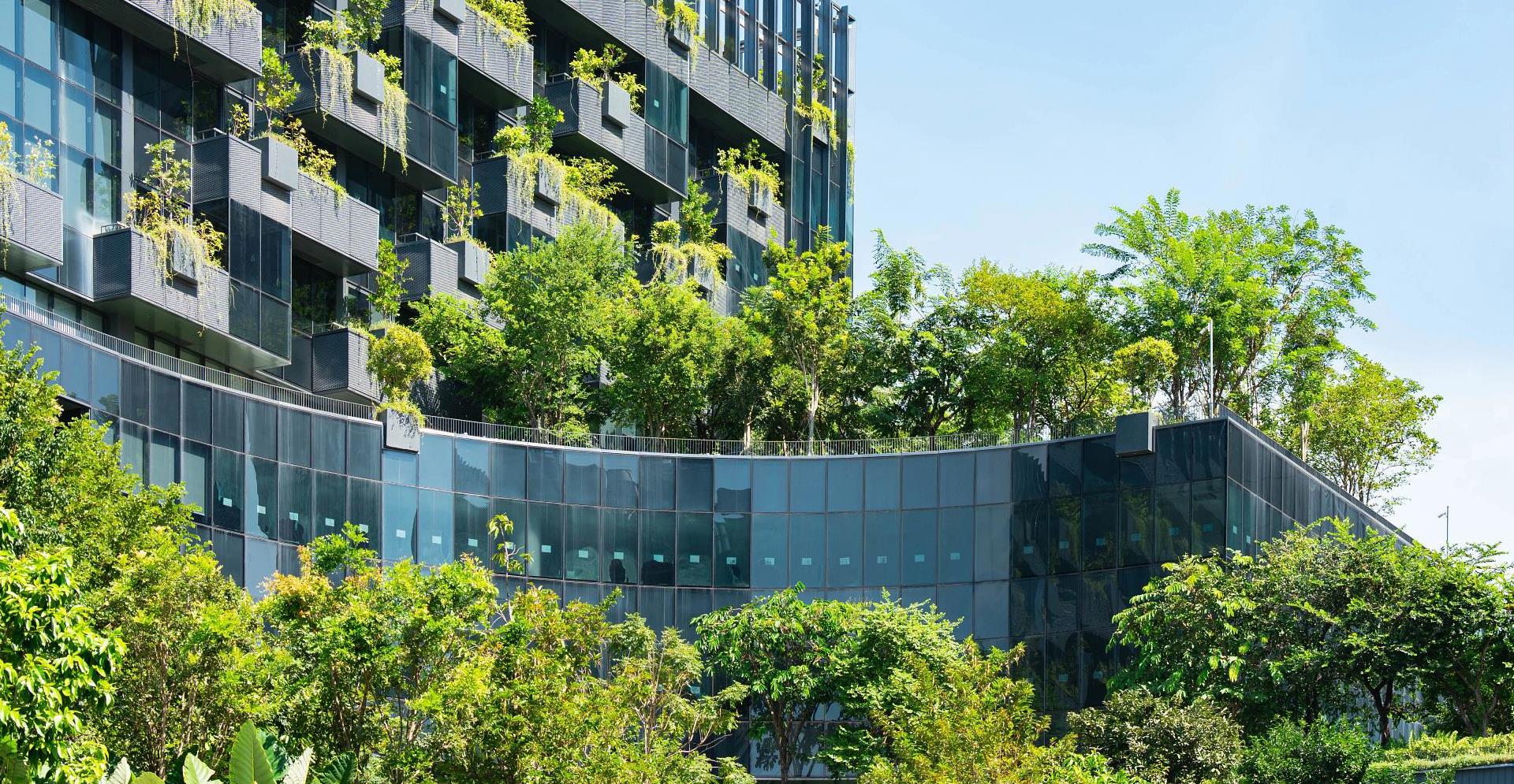 Modern building with vertical Green