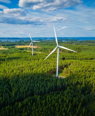 Wind turbines standing tall among trees in a forest, harnessing renewable energy from the wind.