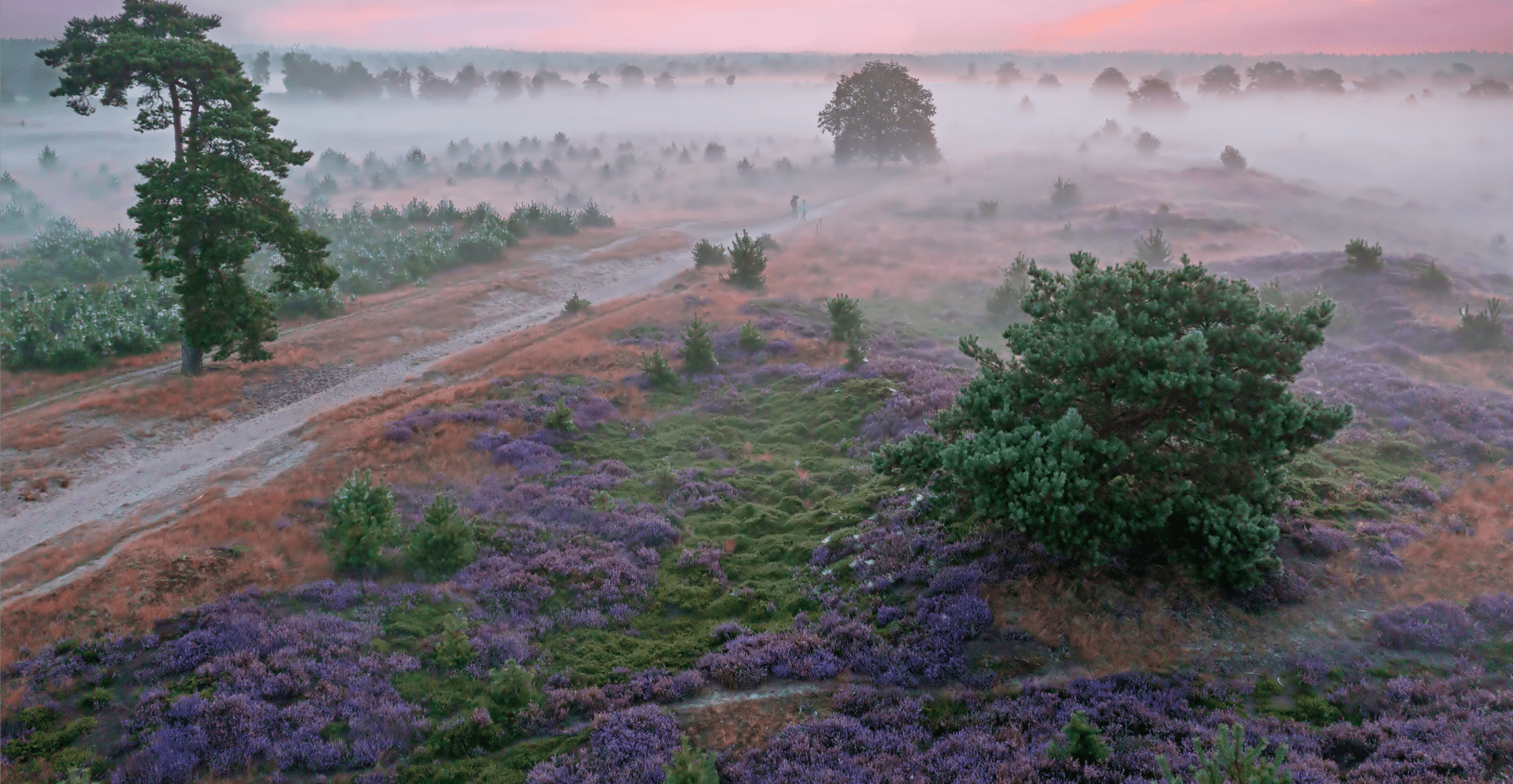 Developments in Soil Research, Remediation and Sustainability