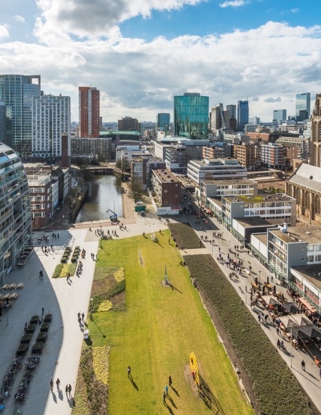 Arcadis Blog über Site Development