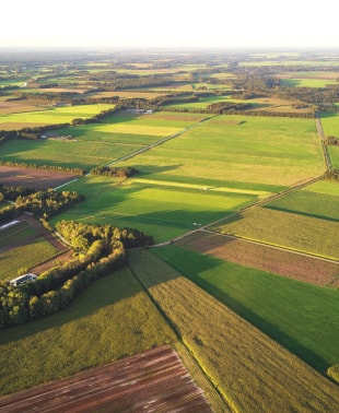 Nederlandse grondgebied