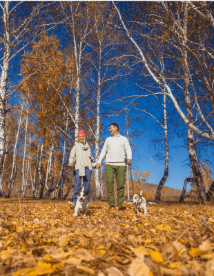 Wandelen in Hooge Vorssel