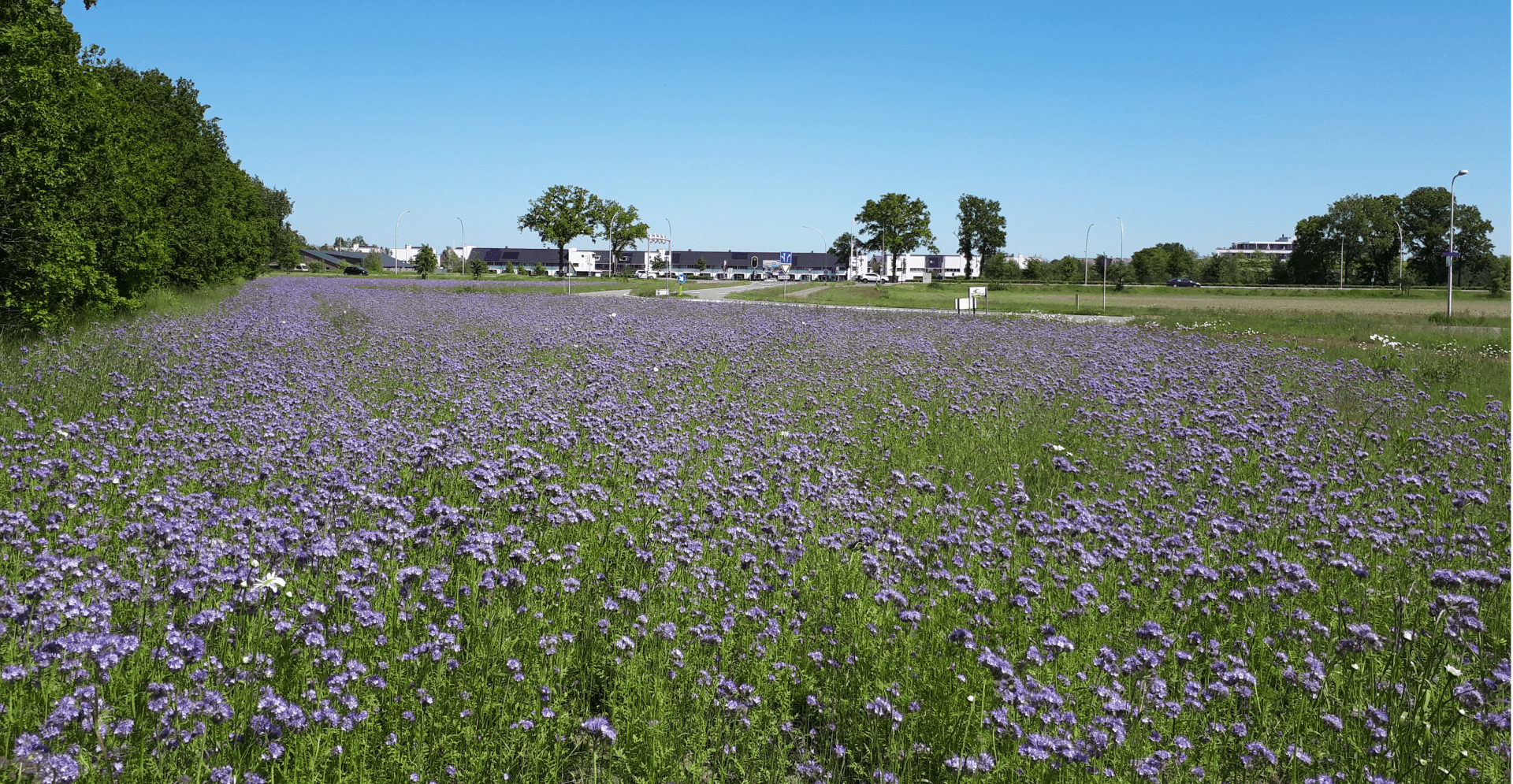 landbouwbedrijf Tilburg Bleukweg