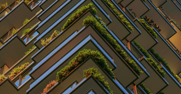 Full Frame Shot of Green Plants in the Balconies of a High Riser Building.