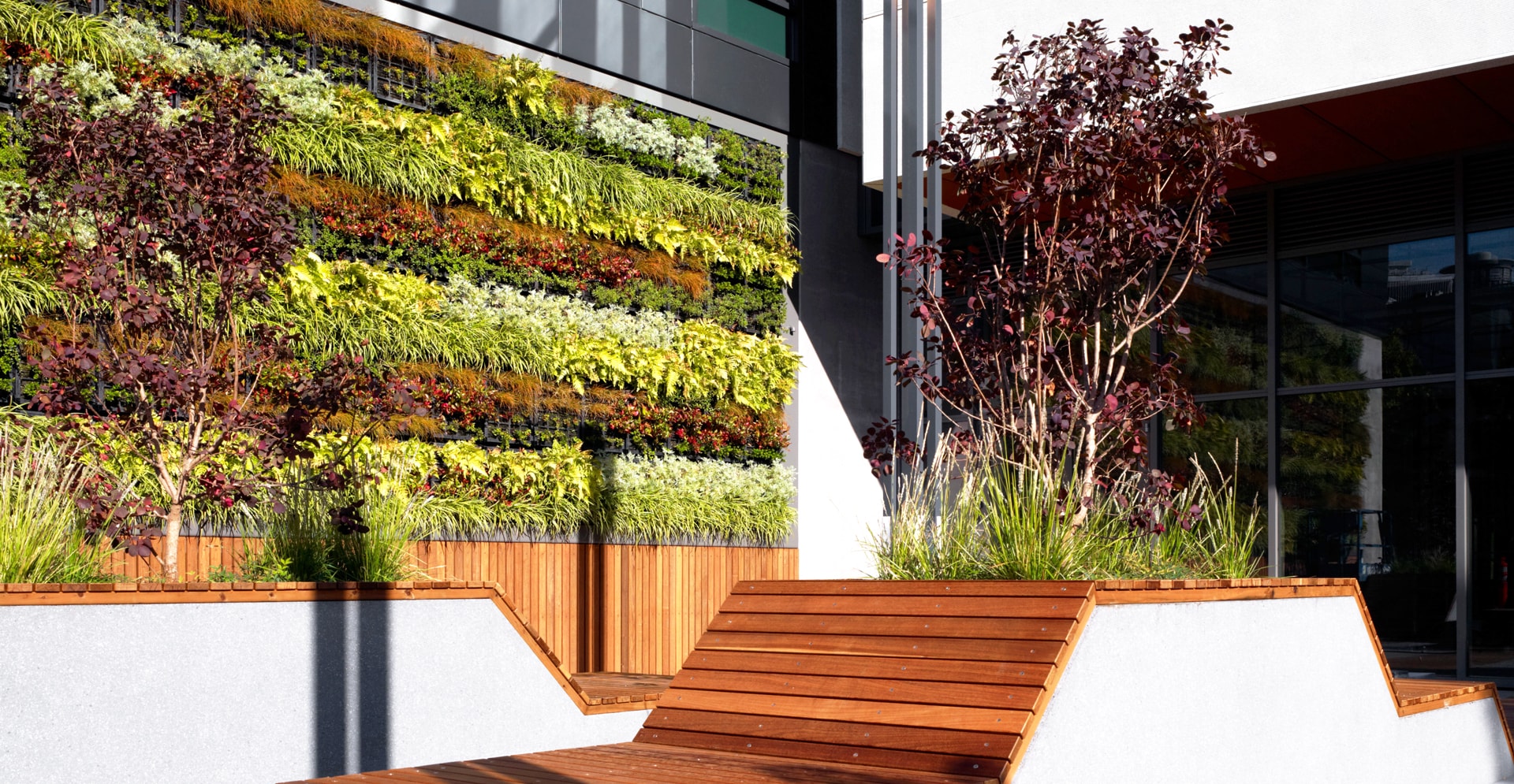 Heat islands, biophilia + the need to be green