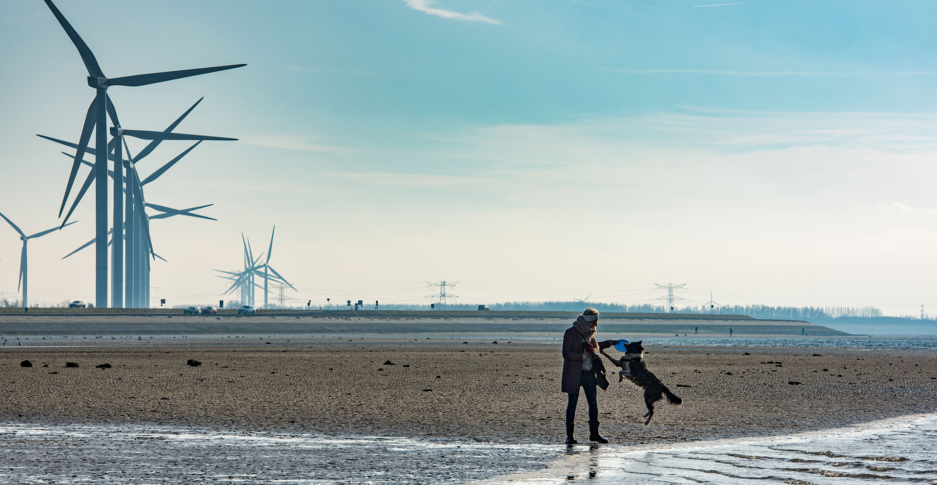 Why 500 people jumped into the sea at Crosby beach first thing this