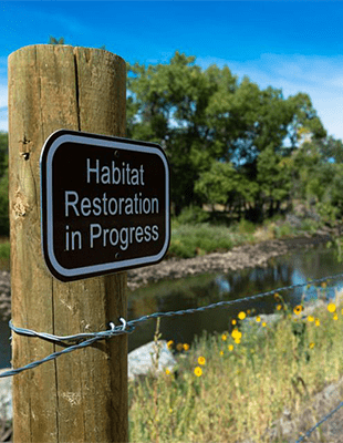 Innovative solutions to restore our environment