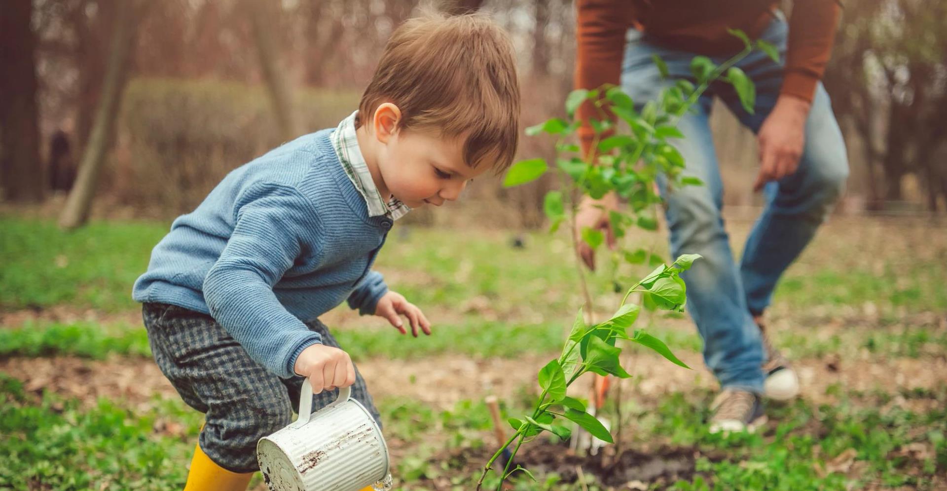 Family watering tree while gardening on Arbor day in springtime