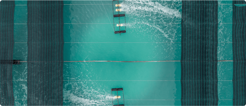  A tranquil swimming pool with sparkling water and a diving board