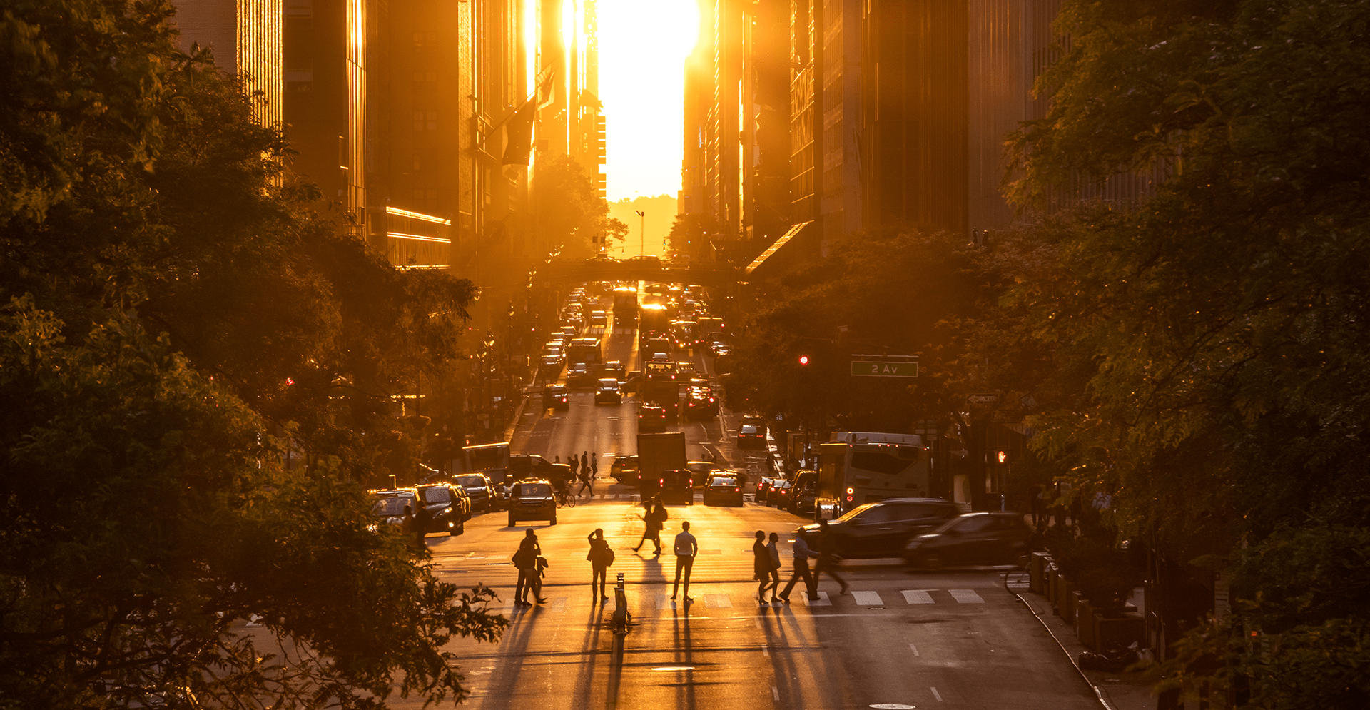 As cities get hotter, how can we turn down the dial?