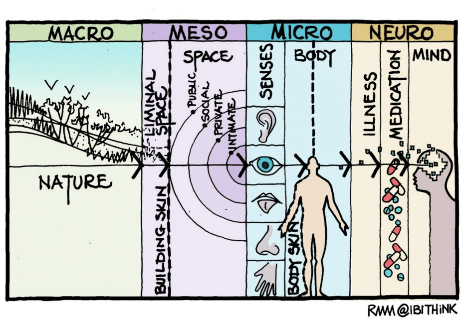 Illustration portraying the various phases of life.
