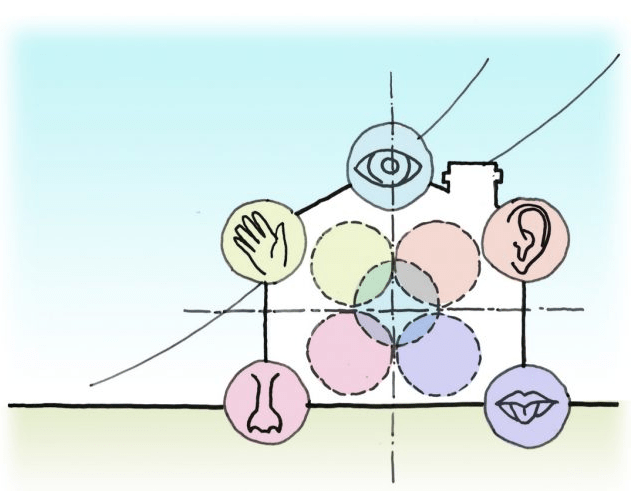 A visual representation of the relationship between the five senses.