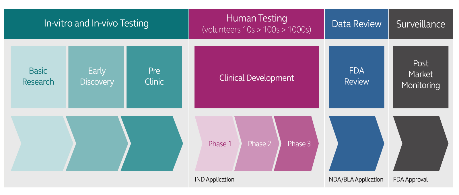 Table of drug development process.