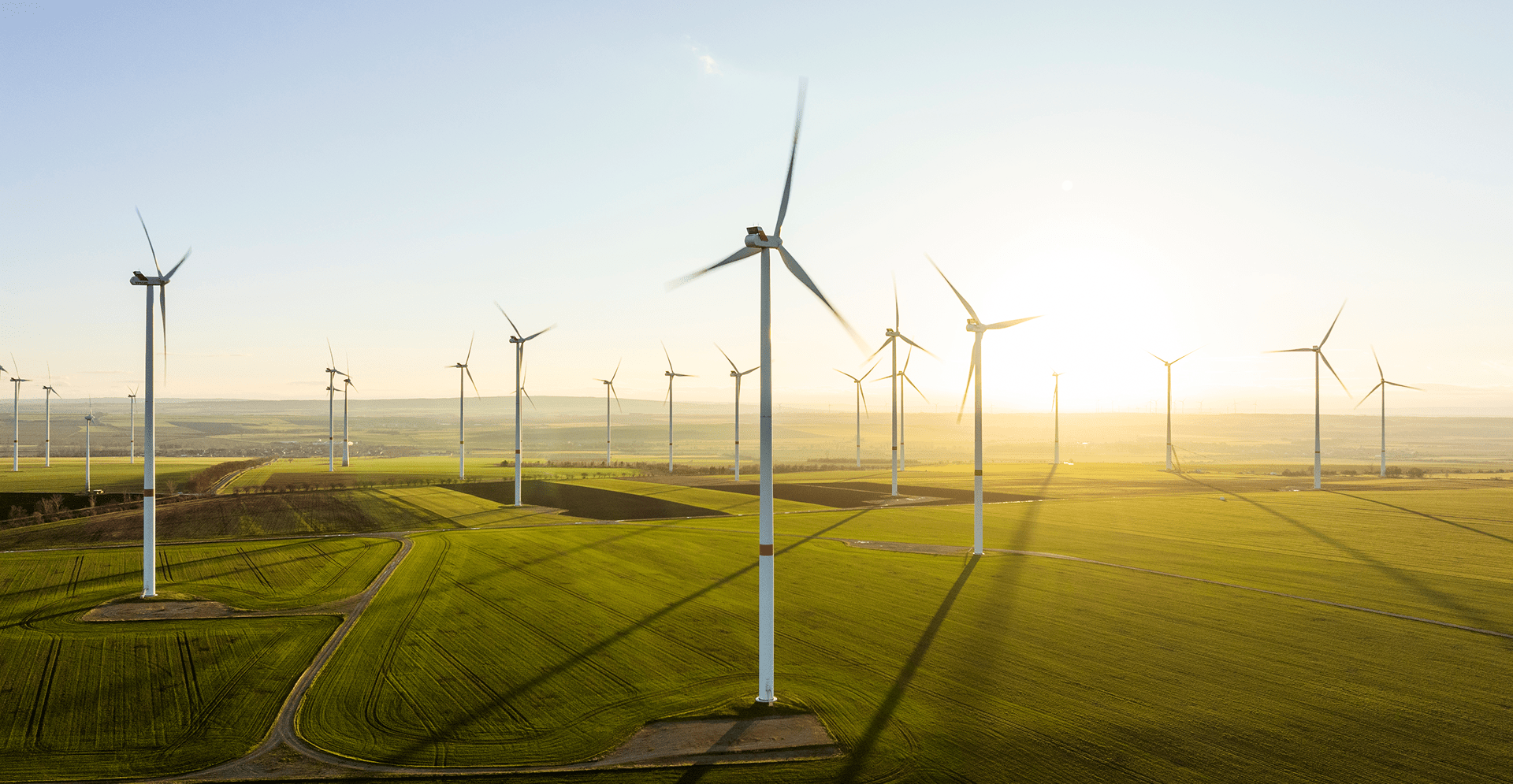 A large expanse of land dotted with multiple wind turbines, harnessing wind energy under a bright sky.