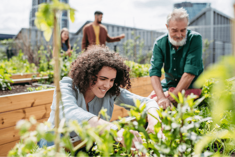 People cultivating a garden together, with various plants and flowers in the background.