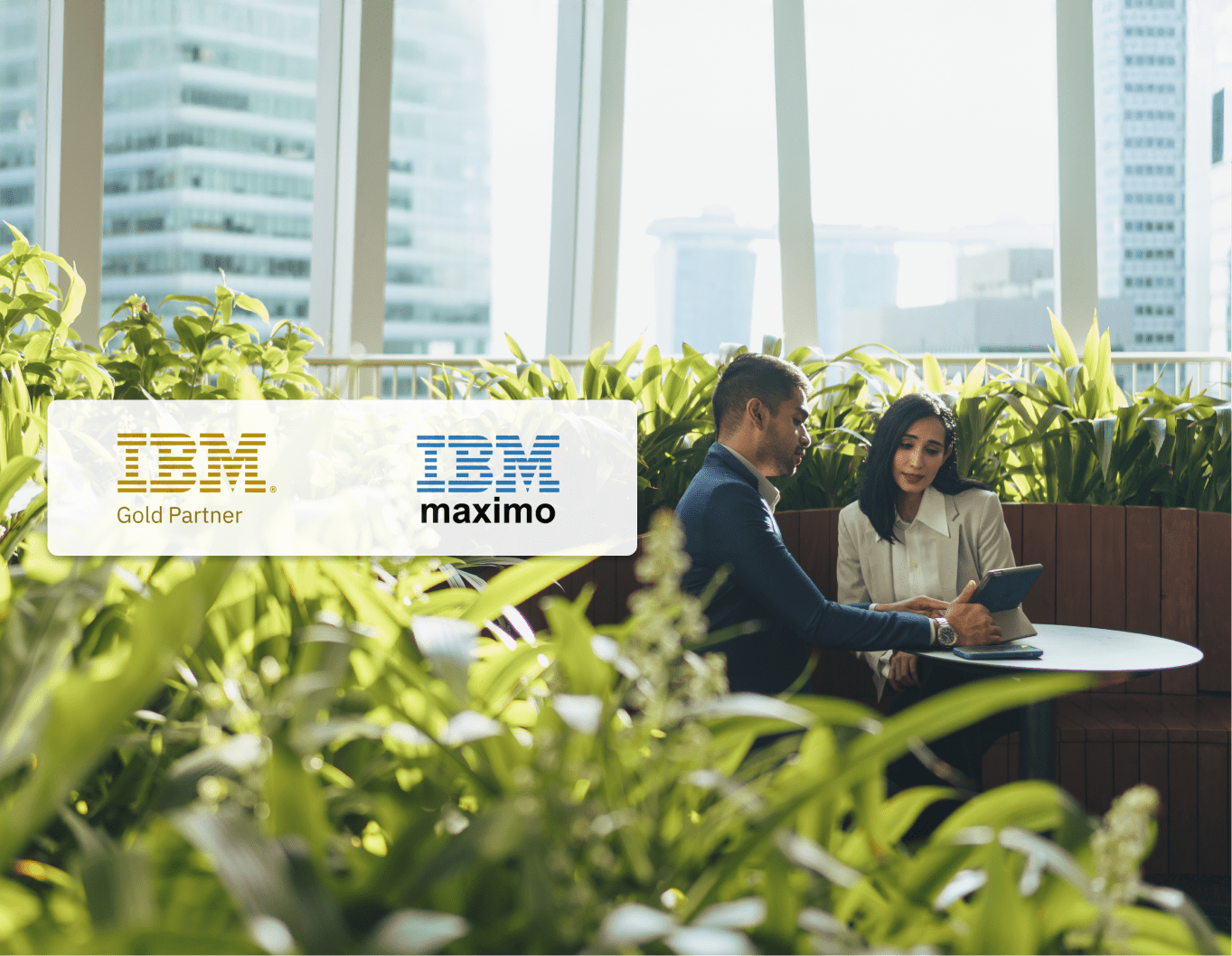 IBM and MAS