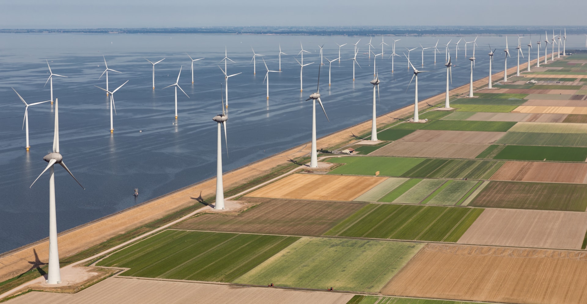 A large expanse of land dotted with multiple wind turbines, harnessing renewable energy in a sunny landscape.