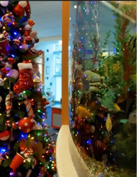 Bringing cheer to children throughout the year