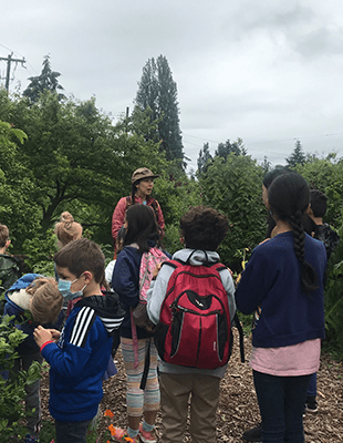 Tackling food insecurity with City Fruit