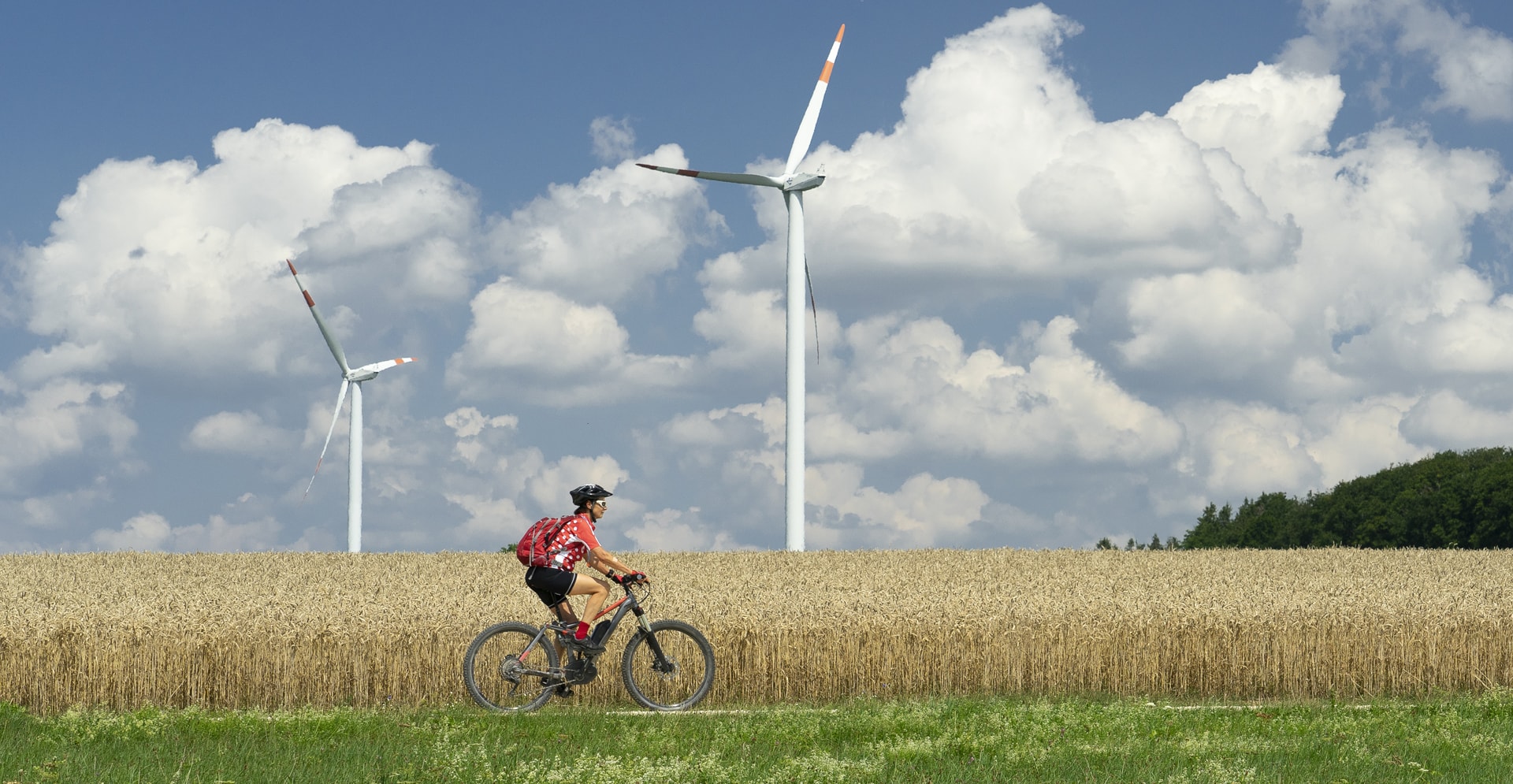 Rapport Arcadis sur la transition énergétique