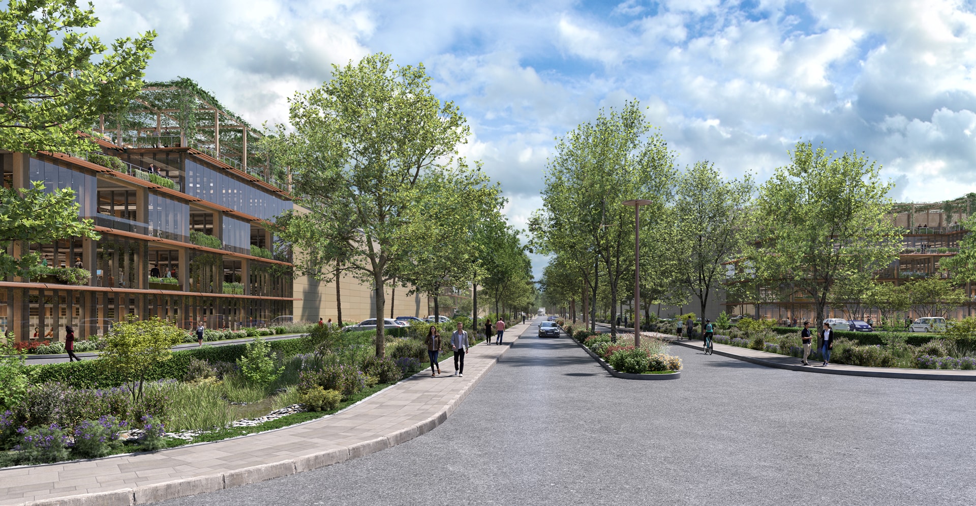 Illustration of a proposed city park, highlighting lush greenery, pathways, and spaces designed for relaxation and recreation.