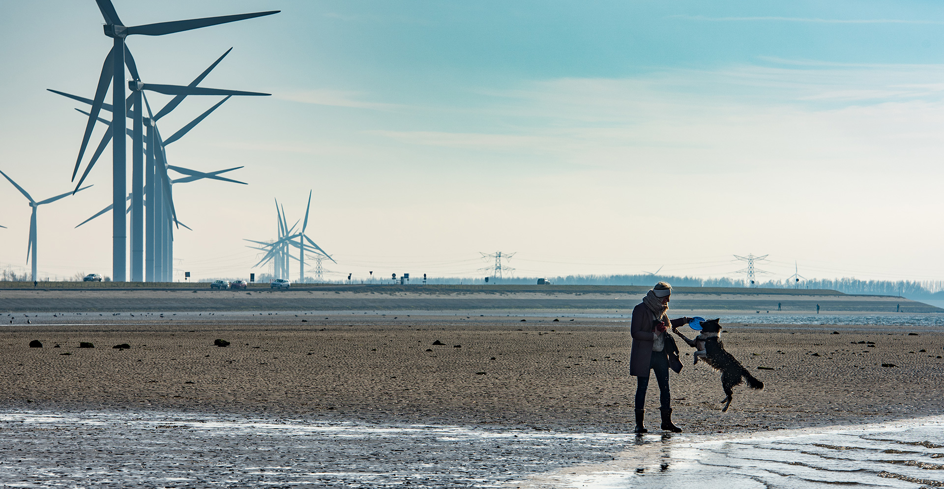 Windturbines in het Nederlandse landschap