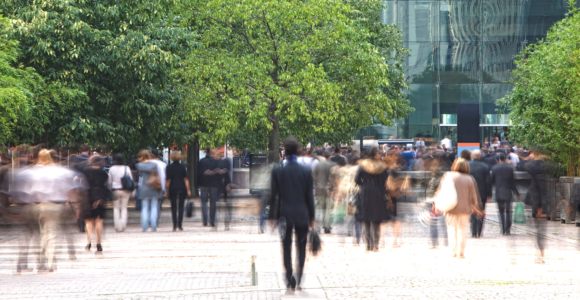 Arcadis werkt mee aan duizend klimaatbestendige bedrijventerreinen
