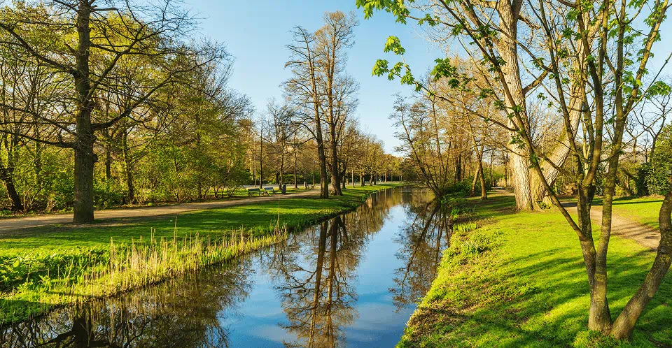 A tranquil river winding through a vibrant park, with trees lining its banks.