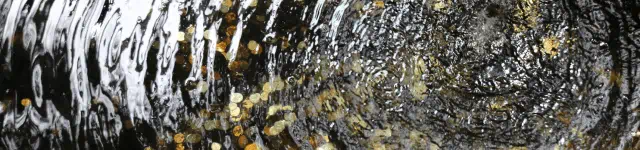 A serene stream with clear water cascading over smooth rocks, creating a tranquil natural scene.
