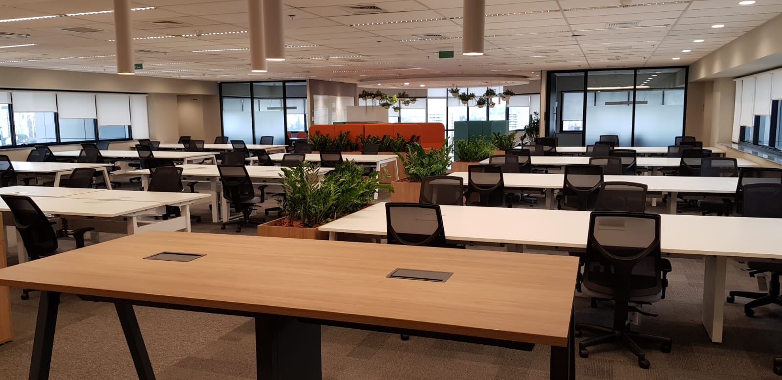 Arcadis - São Paulo New Office_Open Space