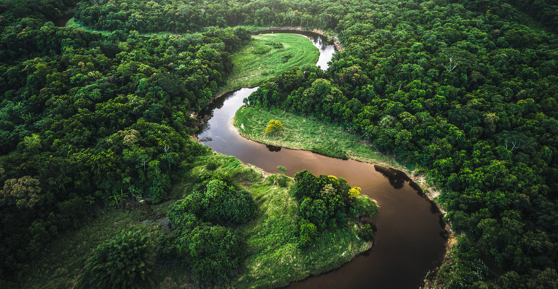 Aerial view of a winding river surrounded by dense green forest, showcasing the natural landscape from above.