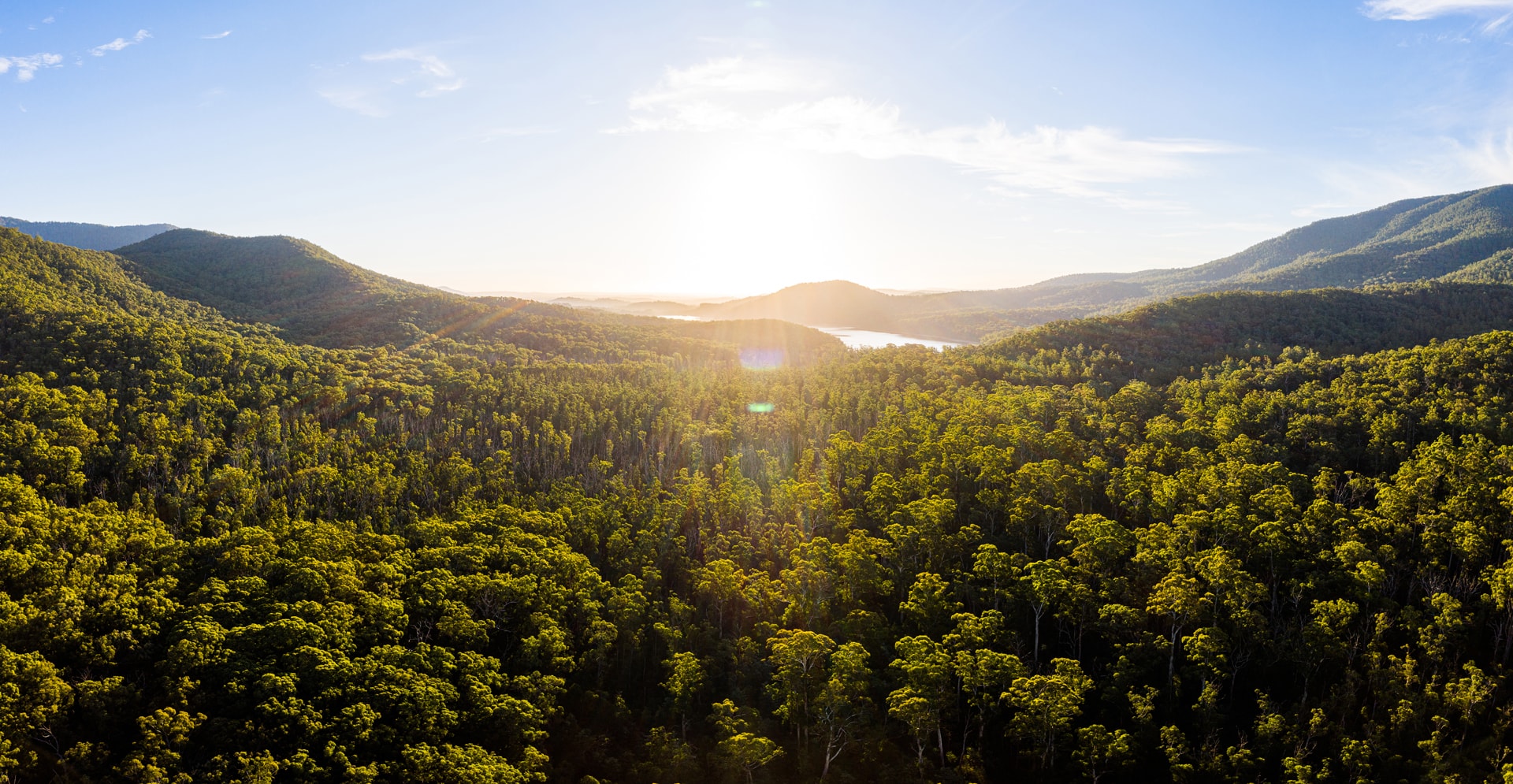 Aerial view of dense green forest and rolling hills at sunrise.