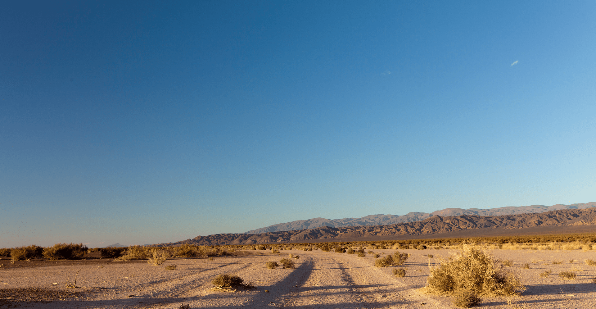 Wide desert landscape with sandy terrain, sparse shrubs, and rugged mountain range under a clear blue sky, showcasing arid natural scenery.