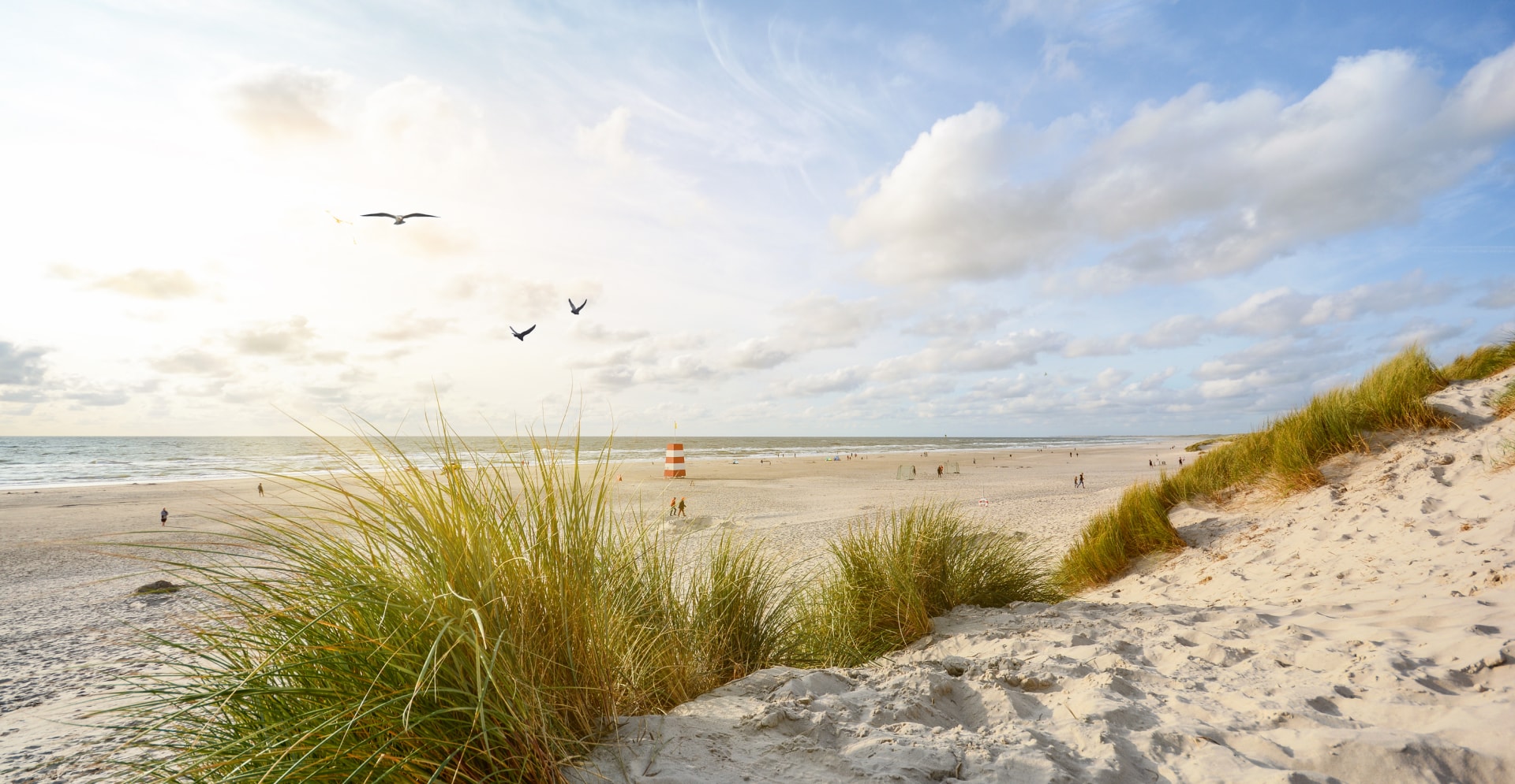 Arcadis helps Portsmouth, Virginia amplify resilience efforts