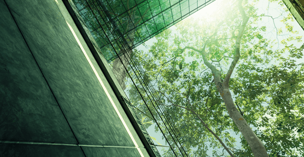 ESG-Management für Unternehmen