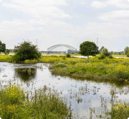 Biobased bouwproject Iewan, een groene wijk in Nijmegen.