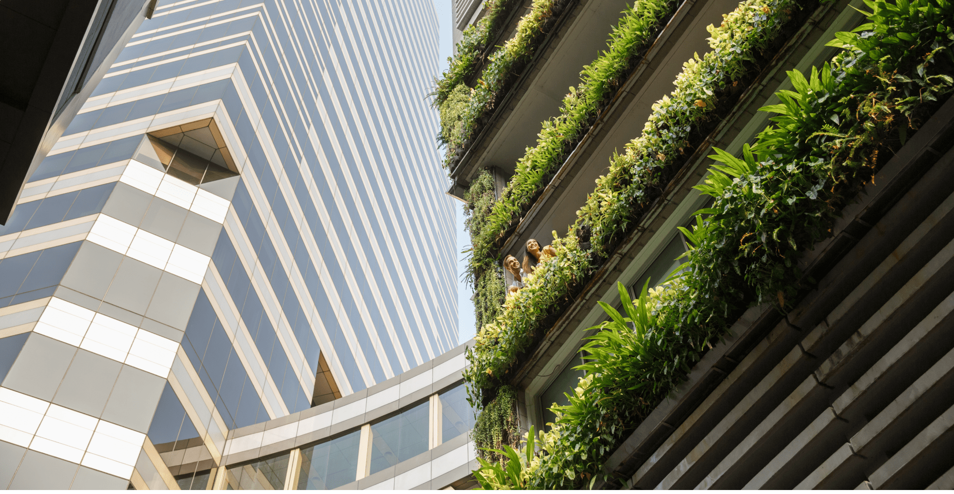 A building with a green wall and a tall building standing beside it, creating a striking architectural contrast.