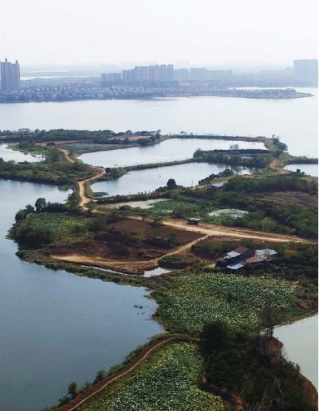 凯谛思团队在中法半岛小镇构建生态排水系统