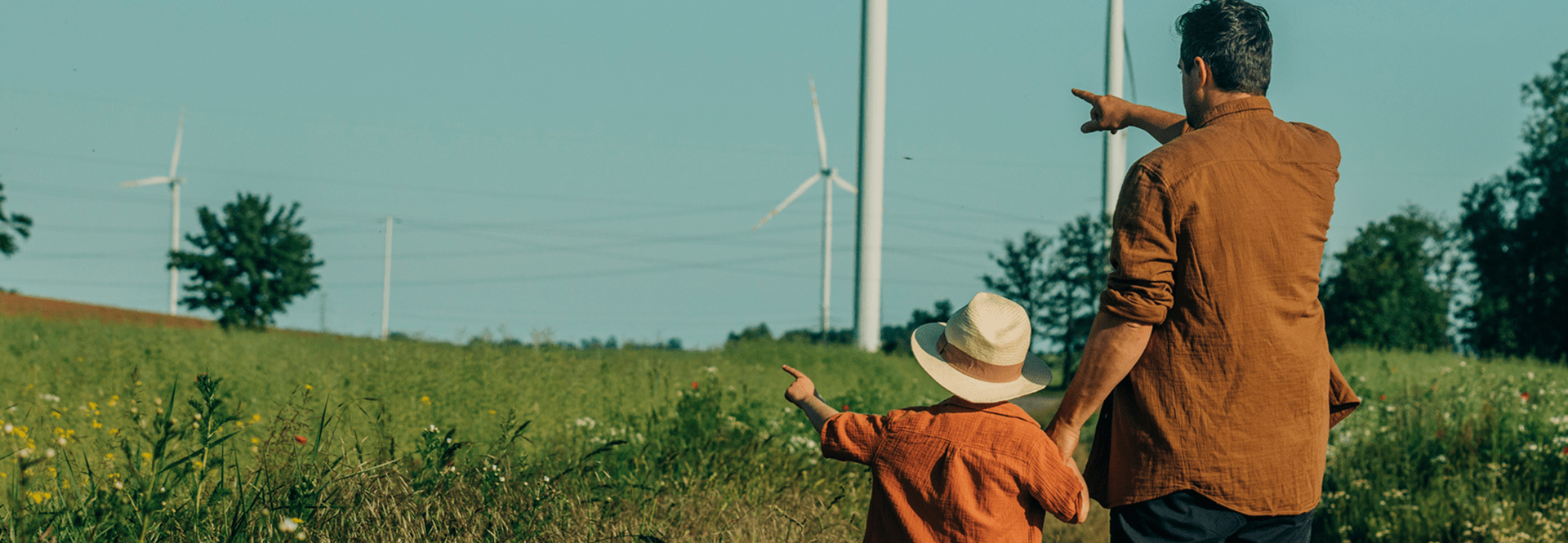 Biodiversiteitspositieve energieprojecten voor Eneco 