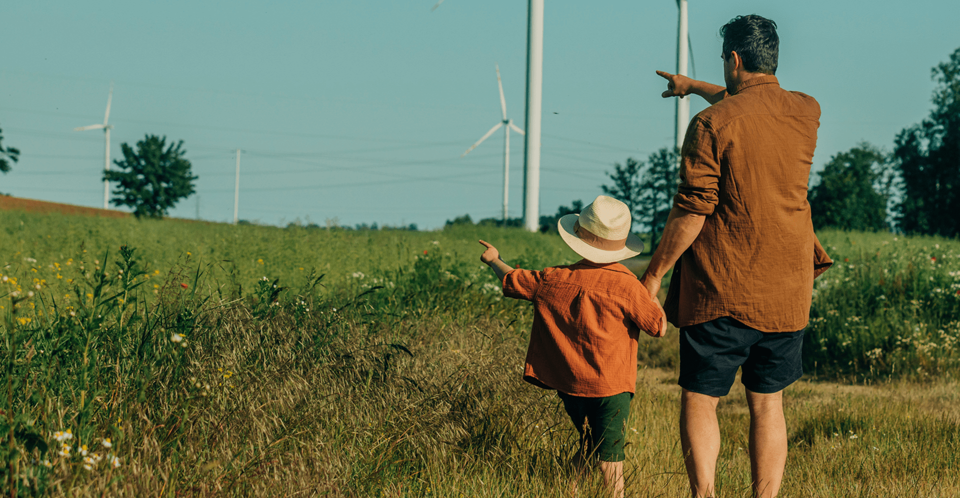 Projets énergétiques favorables pour la biodiversité pour Eneco