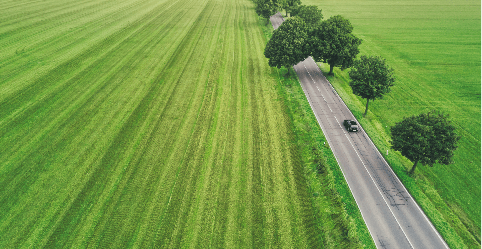 Réaménagement de la route nationale N8 Arcadis