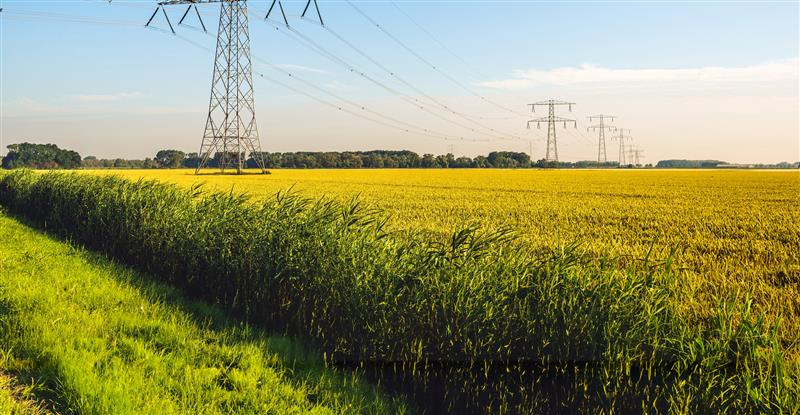 Erneuerbare Energien für die südhessische Metropolregion