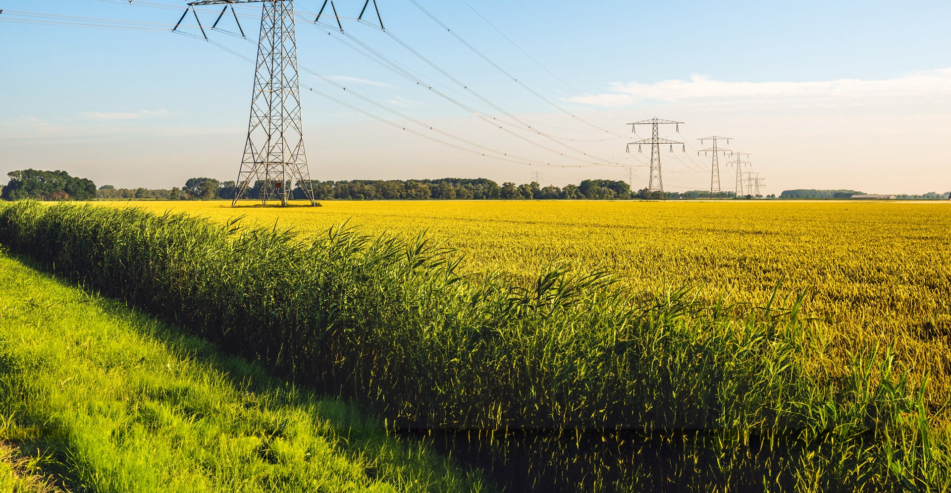 Erneuerbare Energien für die südhessische Metropolregion