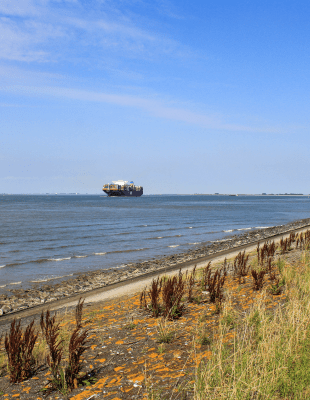 Containerschip in Westerschelde
