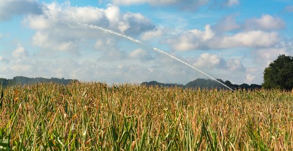 Besproeien van een droog akkerbouwveld met mais door aanhoudende droge periode