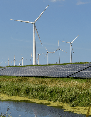 Solar panels and wind turbines stand in a grassy field, showcasing renewable energy sources in a natural landscape.