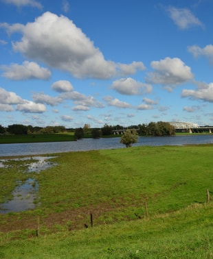 Dijk bij Westervoort