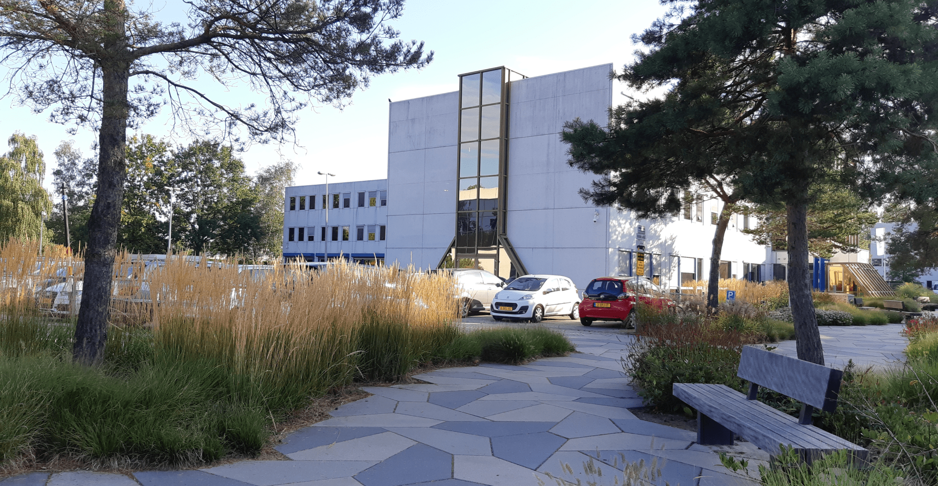 凯谛思作为社区管理者创建蓝绿商务园区，向绿色气候适应型商务园区迈进