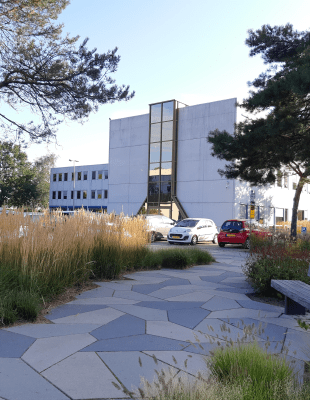 Arcadis - dit bedrijventerrein in Veldhoven is verbeterd op het gebied van klimaatbestendigheid en biodiversiteit